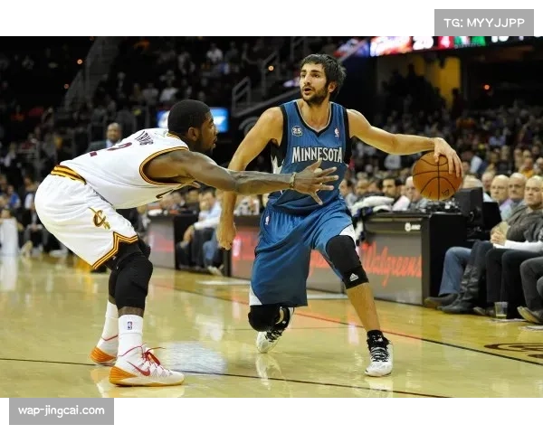 多森姆即插即用适应芬奇体系 森林狼替补深度得到补强